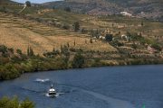 Oporto - Crociera sul fiume Douro