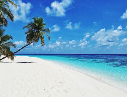 Surf alle Maldive: gli atolli migliori, le onde e i resort con accesso diretto agli spot