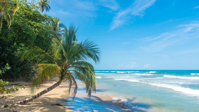 Tra foreste pluviali e splendide spiagge il Costa Rica si apre all’eco-sostenibilità