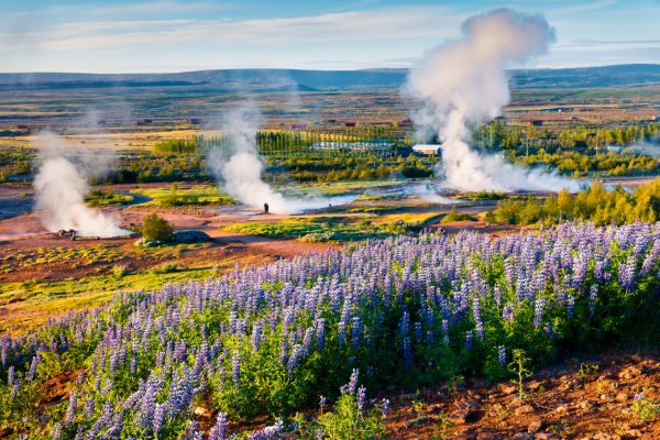 Geyser in Islanda
