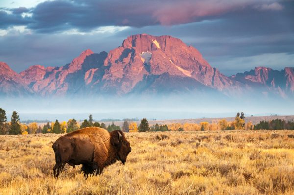 Grand Teton National Park
