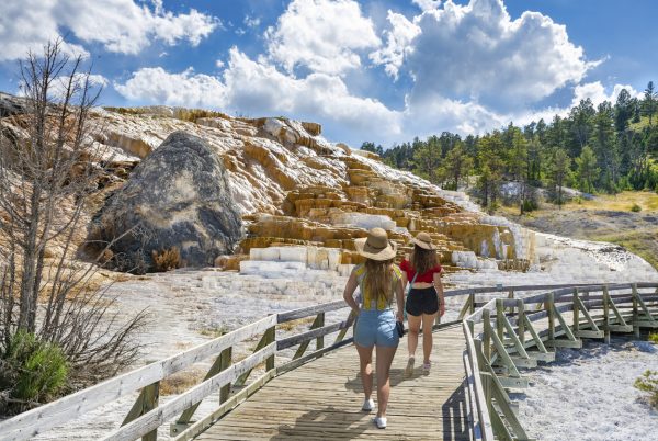 Mammoth Site of Hot Springs