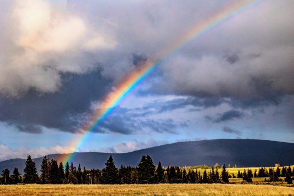 Bighorn National Forest