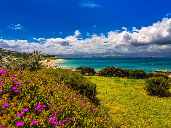 Viaggio di nozze romantico a Mossel Bay sulla Garden Route