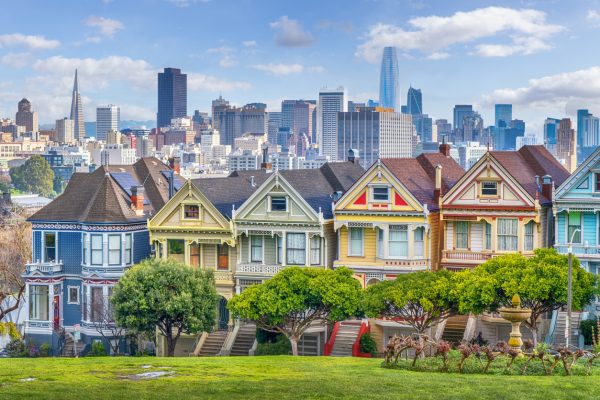 Painted Ladies