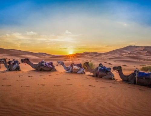L’altra faccia del Marocco: 5 esperienze di lusso