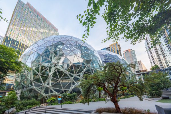 Amazon Spheres