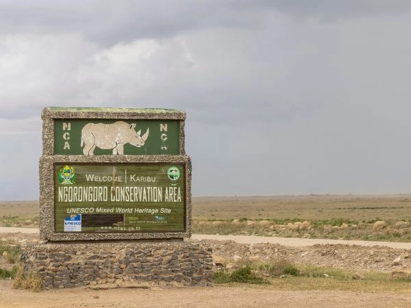 Avvistare la fauna selvatica nel cratere di Ngorongoro, in Tanzania