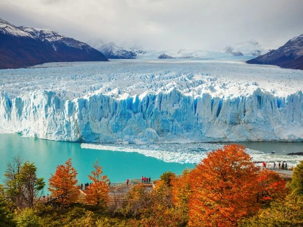 Esplorare El Calafate, porta d’accesso ai ghiacciai della Patagonia argentina