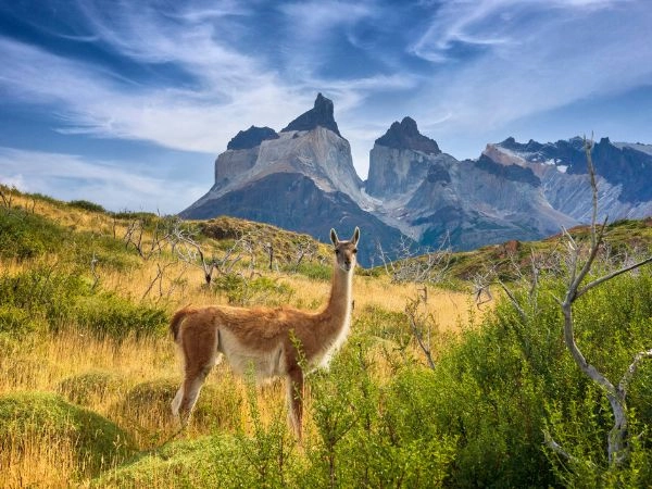 Esplorare Torres del Paine in Patagonia tra montagne imponenti e laghi glaciali