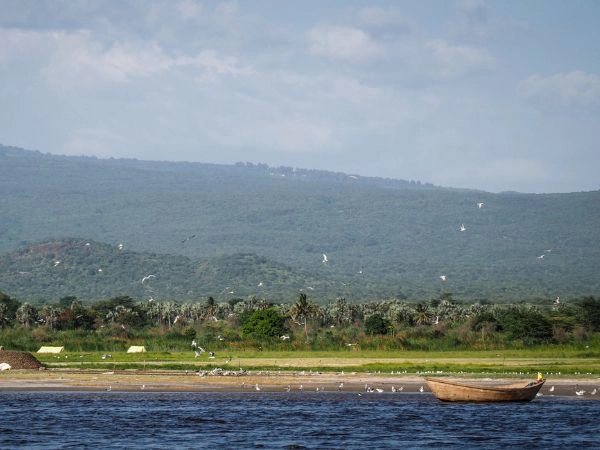 Esplorare il Lago Eyasi tra paesaggi aridi e tradizioni locali della Tanzania
