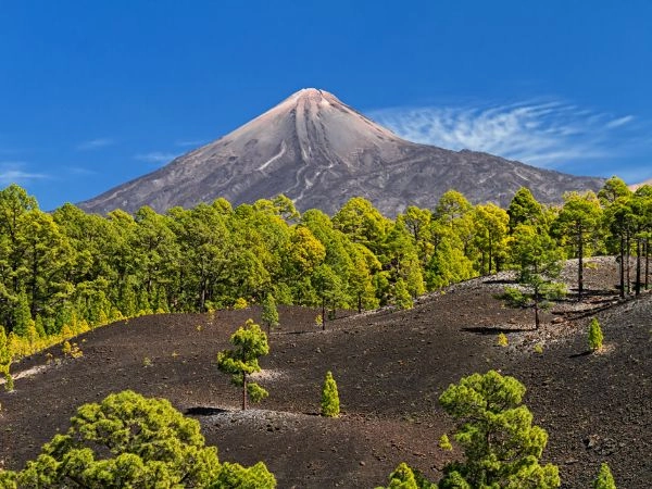 Esplorare il Parco Nazionale del Teide tra colate laviche, crateri e paesaggi vulcanici di Tenerife