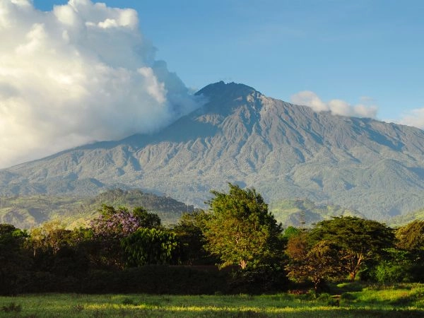 Esplorare l’Arusha National Park tra crateri vulcanici e foreste lussureggianti