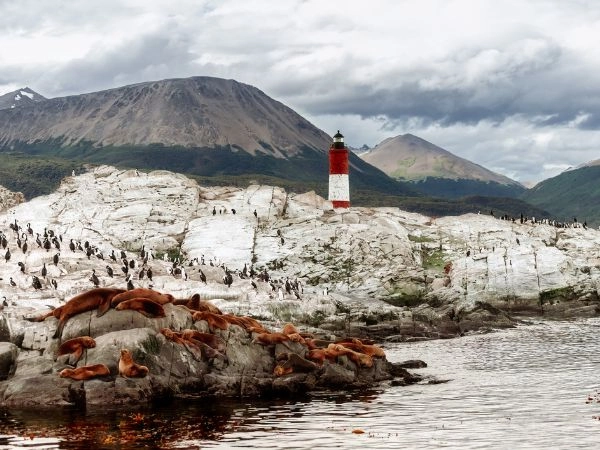 Navigare nel Canale di Beagle tra isole selvagge e fauna marina della Terra del Fuoco