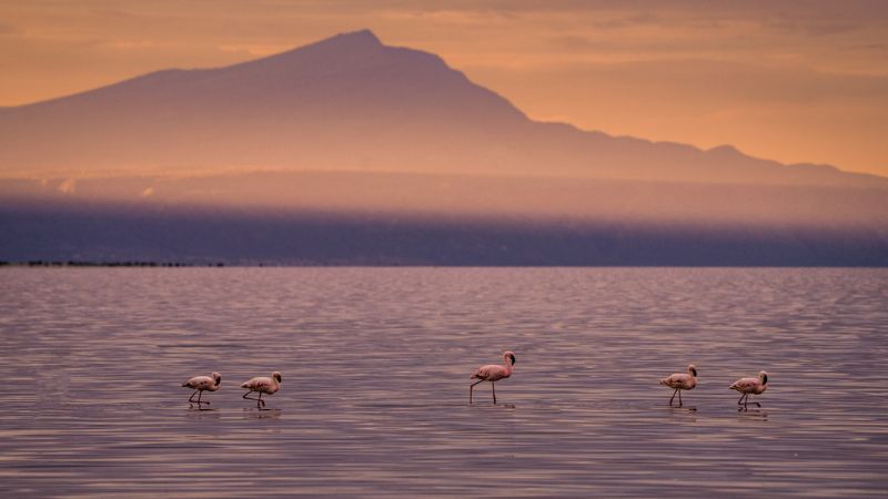 Tanzania cultura e natura