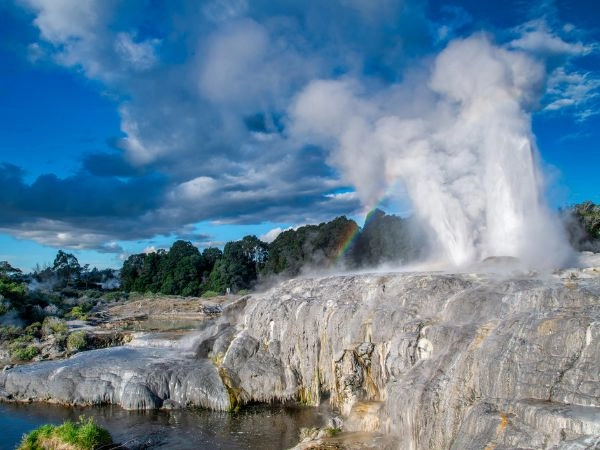 Ammirare le eruzioni del geyser Pohutu a Rotorua, tra vapori e sorgenti geotermiche della Nuova Zelanda