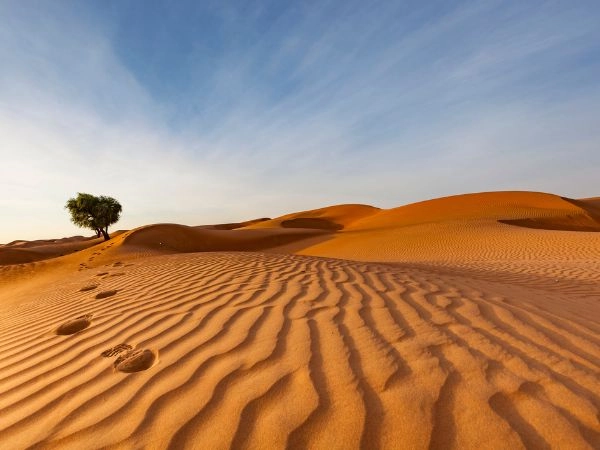 Attraversare il deserto di Wahiba tra dune ondulate e accampamenti beduini