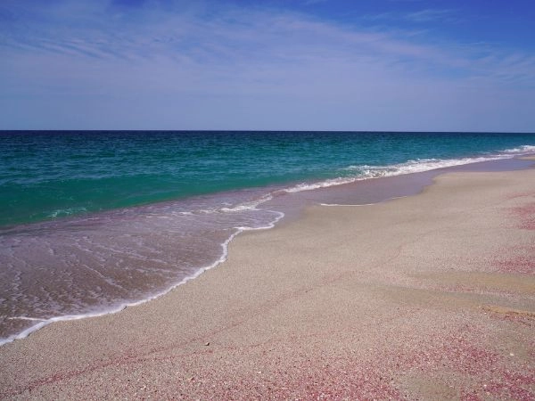 Passeggiare sulla spiaggia di Ras Al Hadd al ritmo delle onde del mare