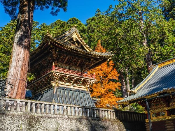 Ammirare il Santuario di Tōshōgū a Nikkō tra decorazioni elaborate, sculture lignee e foreste secolari
