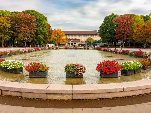 Ammirare il foliage autunnale nei parchi di Tokyo tra aceri rossi e giardini giapponesi 