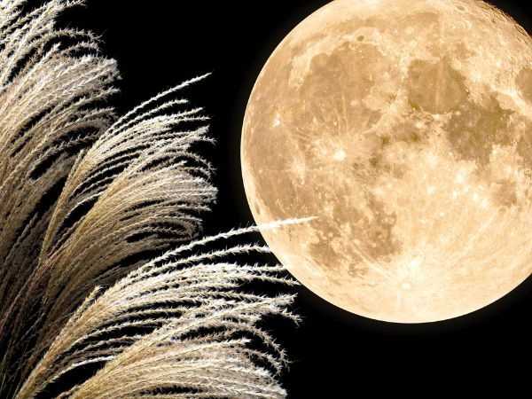 Celebrare lo Tsukimi in Giappone ammirando la luna piena secondo un’antica tradizione autunnale