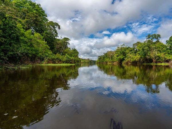 Cosa significa alloggiare in un eco-lodge