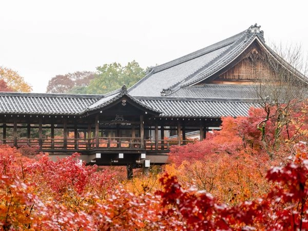 Fotografare gli aceri rossi del tempio Eikandō a Kyoto durante il foliage autunnale