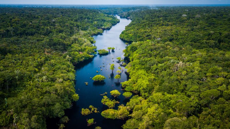 viaggio in amazzonia