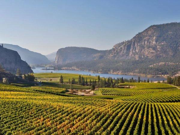 Esplorare l’Okanagan tra vigneti, laghi scintillanti e paesaggi montani della British Columbia