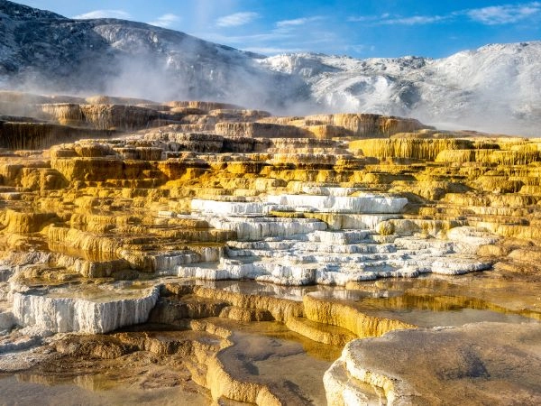 Ammirare le terrazze calcaree di Mammoth Hot Springs, modellate dalle acque termali di Yellowstone