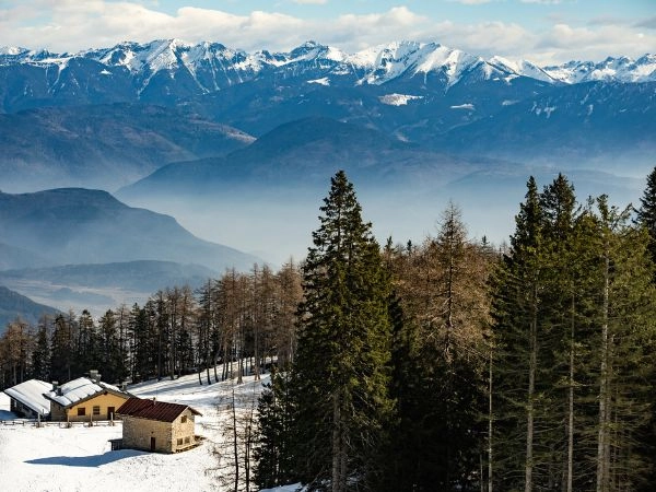 Esplorare la Paganella tra sentieri alpini, boschi di montagna e panorami sulle Dolomiti di Brenta
