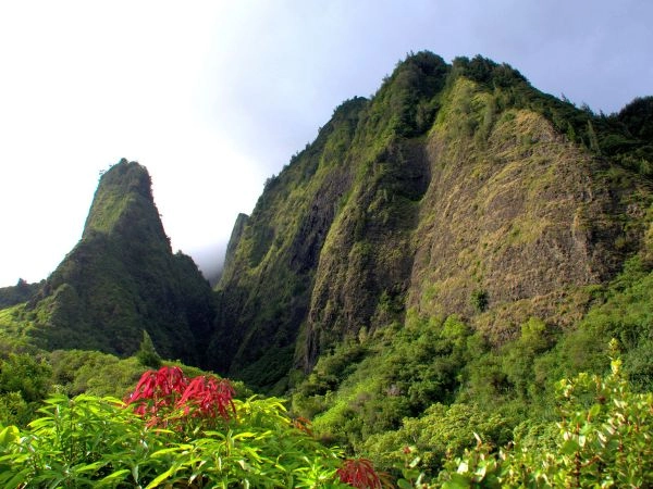 Esplorare la valle di Iao a Maui, dominata da picchi montuosi e vegetazione tropicale