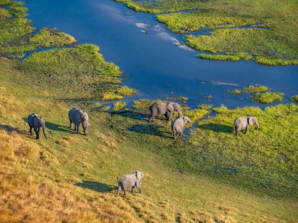 Il delta dell'Okavango è il più grande delta interno del mondo
