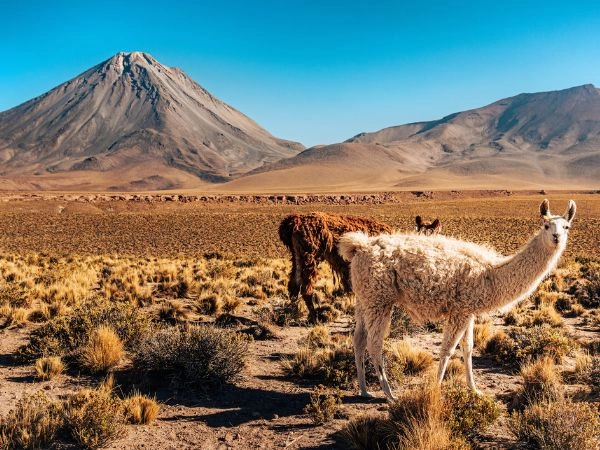 Perché scegliere un viaggio tra Cile e Bolivia