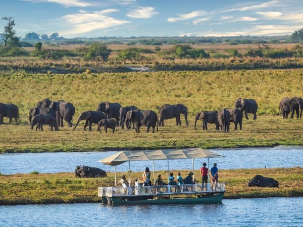 Scoprire le regioni di safari più popolari del Botswana