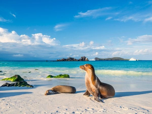 le Isole Galapagos sono un paradiso per le coppie avventurose