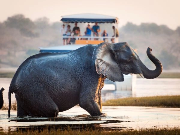 visitare botswana
