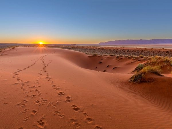Attraversare il deserto del Kalahari, regno di dune rosse, savane aride e fauna selvatica africana