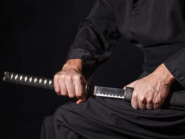 Scoprire lo Shogun, figura storica del Giappone feudale legata al potere militare e politico