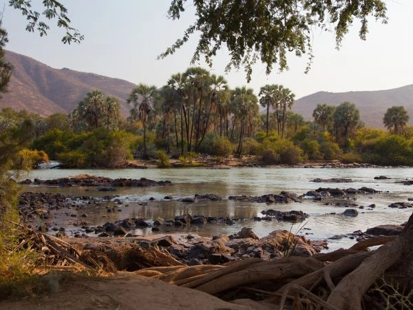 Seguire il fiume Kunene, oasi verde nel paesaggio arido della Namibia settentrionale