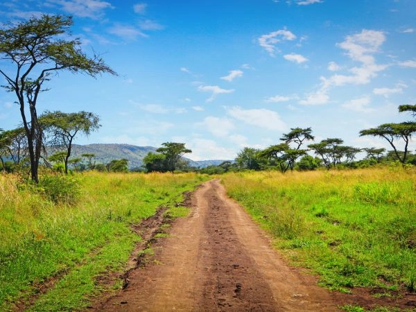 Attraversare il Parco Nazionale di Akagera, tra savane aperte, laghi e fauna africana del Ruanda