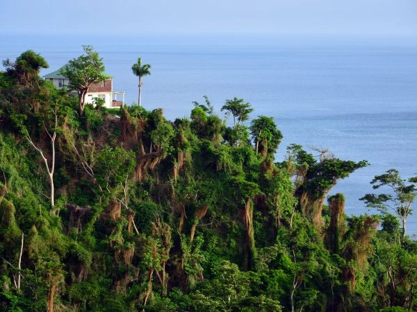 Dominare la collina sopra Roseau, con viste panoramiche sulla capitale di Dominica e sul Mar dei Caraibi