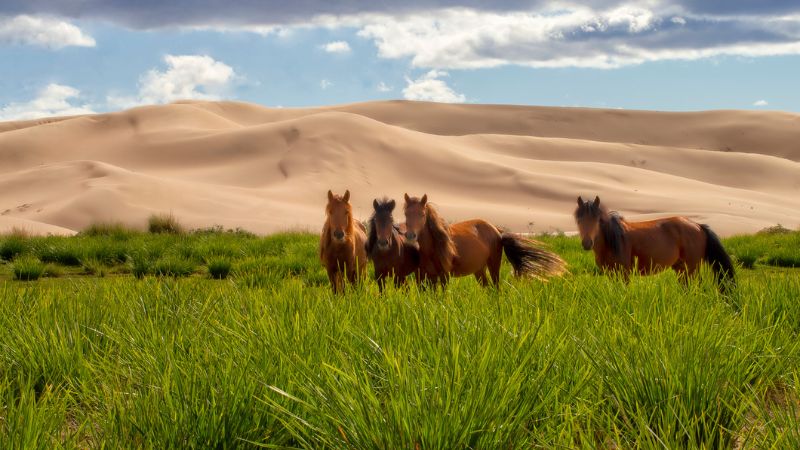 Explora Mongolia