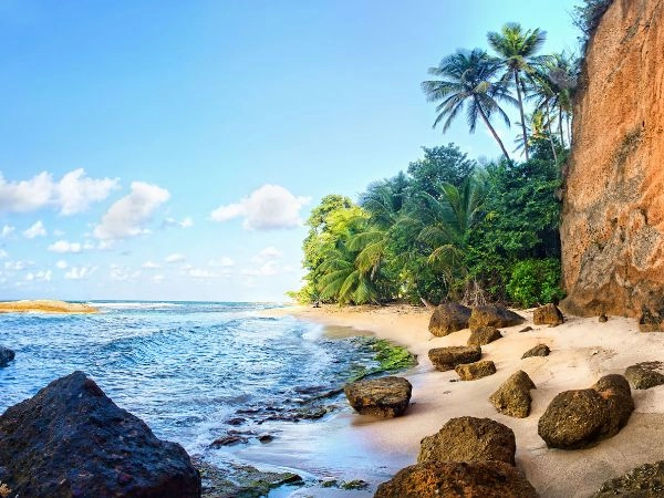 Rilassarsi sulle spiagge di Dominica, tra sabbia vulcanica, palme tropicali e acque caraibiche