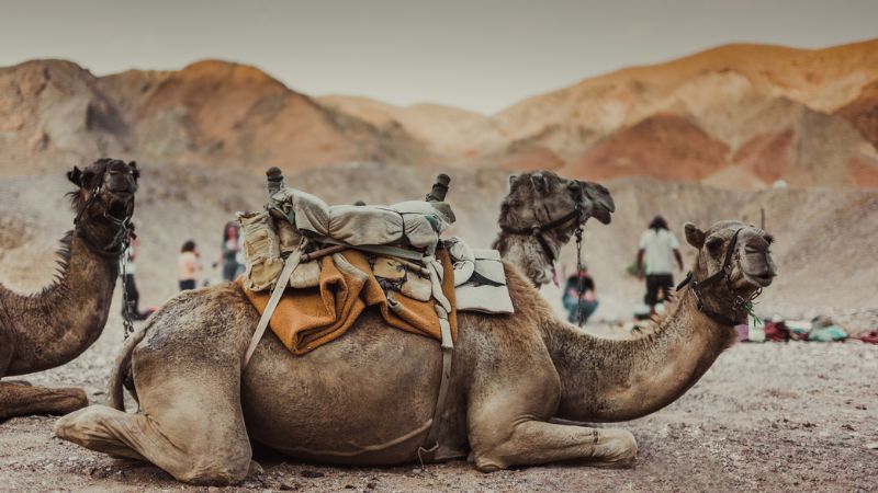 Viaggio in Israele