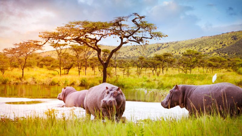 Viaggio in Ruanda