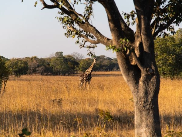 Esplorare Lusaka