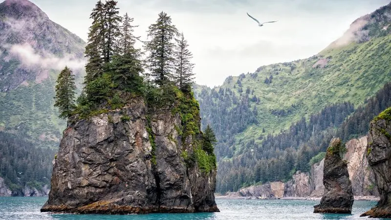 Il Parco Nazionale dei Fiordi del Kenai natura selvaggia in Alaska