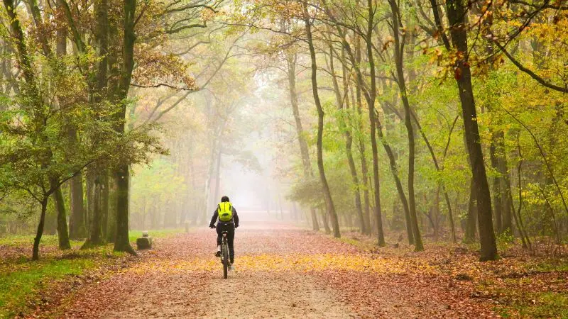 Pedalando in autunno 10 destinazioni ciclistiche in Europa