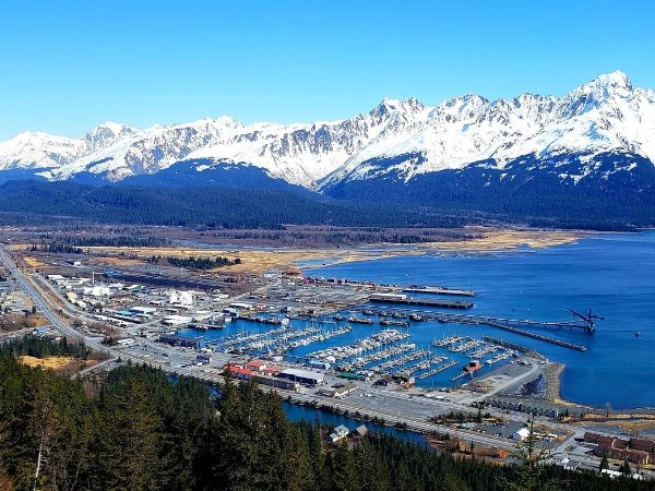 Avvistare la fauna marina a Seward, cittadina dell’Alaska famosa per i fiordi e i ghiacciai costieri